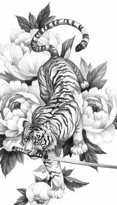 Prowling Lion Tattoo, Tiger Body Drawing, Japanese Animals Tattoo, Japanese Tattoos Tiger, Tiger Body Tattoo, Japanese Tiger Drawing, Japanese Tattoo Tiger, Tiger Tattoo Drawing, Tiger Japanese Art