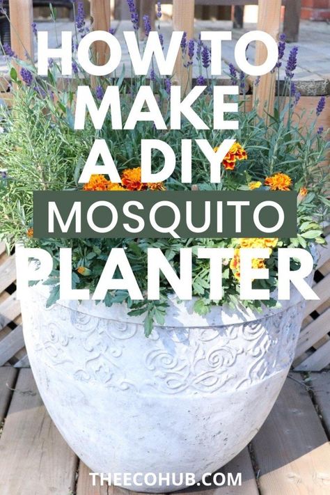 How To Make A DIY Mosquito Repellent Planter - The Eco Hub Eco Garden, Natural Bug Spray Recipe, Diy Mosquito Repellent, Plants That Repel Bugs, Bug Spray Recipe, Mosquito Plants, Garden Escape, Natural Bug Spray, Pool Small