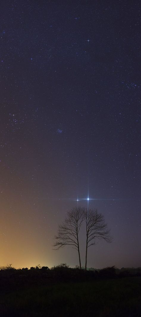 Venus & Jupiter (736×1656) Venus Jupiter, Two Trees, Foto Tips, To Infinity And Beyond, The Night Sky, Chiaroscuro, Science And Nature, Out Of This World, Milky Way