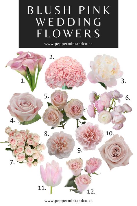 Pale Pink Flowers Wedding, Wedding Flower Arrangements Blush Pink, White And Blush Pink Centerpieces, Rose Pink Wedding Decor, White Blush Pink Wedding, Centerpiece Pink Flowers, Blush Roses Centerpiece, Most Popular Wedding Flowers, Blush Pink Color Scheme Wedding