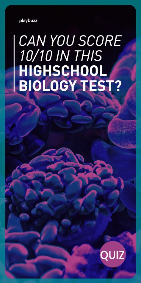 Can you get a perfect score on this high school biology test? High School Test, Biology Quiz, Science Quiz, Smart Quiz, Intelligence Quiz. Playbuzz Quiz How To Study Biology, Basic Biology, Biology Test, Science Websites, Hard Quiz, Biology Student, Science Trivia, School Test, Science Quiz