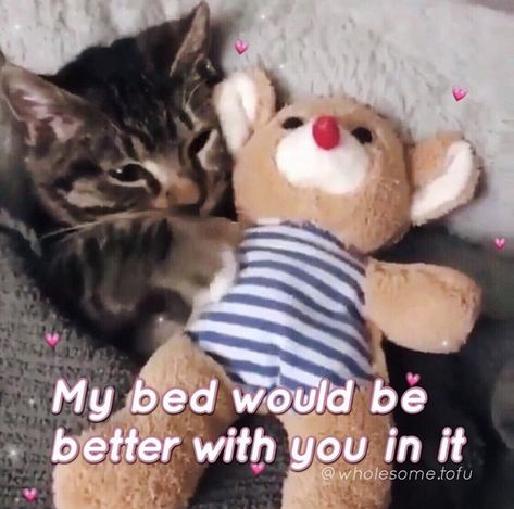 Cat Reaction Pictures Cute, I Love U Cat, Cute Cats To Send To Bf, I Love You Cat, Mine Meme, Cute Romantic Memes, Cute Memes For Him Cat, Cute Relationship Quotes, Cat Memes Love