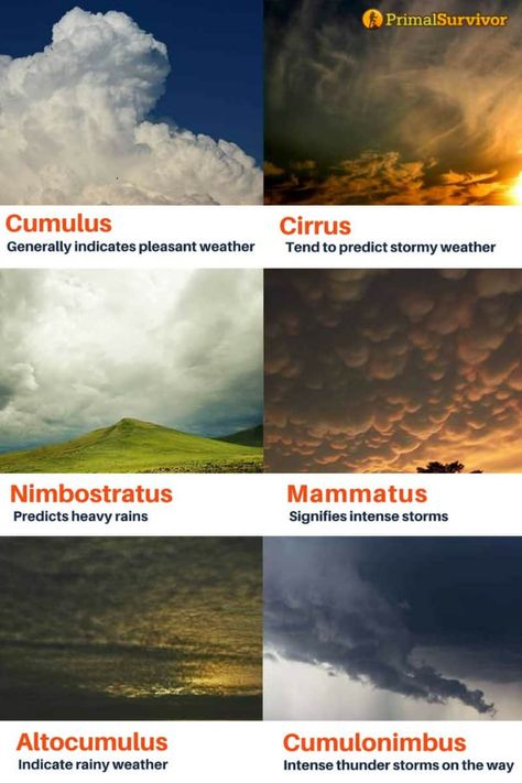 How to read these different cloud formations to help you predict the weather when you can't access a weather forecast. #typesof #clouds #andweather Meteorologist Aesthetic, Types Of Clouds, Energy Science, Cloud Type, Aviation Education, Weather Science, Survival Ideas, Cloud Formations, Bushcraft Skills