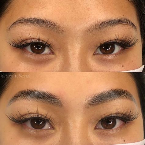 Explore the best eyebrow lamination before and after photos. Look through the best examples of eyebrow lamination done by technicians all over the world and get inspired! #browlamination #eyebrowlamination #browperm #eyebrowperm #eyebrowlaminationbeforeandafter #eyebrowlaminationbeforeafter #browlaminationbeforeandafter #browlaminationbeforeafter #browpermbeforeafter #browpermbeforeandafter #pmuhub Threaded Eyebrows Before And After, Tinted Brows Before And After, Eyebrow Threading Before And After, Eyebrows Before And After, Eyebrow Tinting Before And After, Eyebrow Lamination Before And After, Eyebrow Lamination And Tint, Natural Brow Lamination, Brow Lamination Before And After