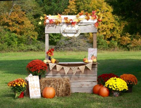 Pumpkin Patch Stand Photoshoot, Pumpkin Stand Photoshoot, Pumpkin Stand Mini Session, Diy Pumpkin Patch Photo Shoot, Roadside Pumpkin Stand, Pumpkin Stand Ideas, Pumpkin Farm Stand, Fall Farm Stand, Pumpkin Patch Stand