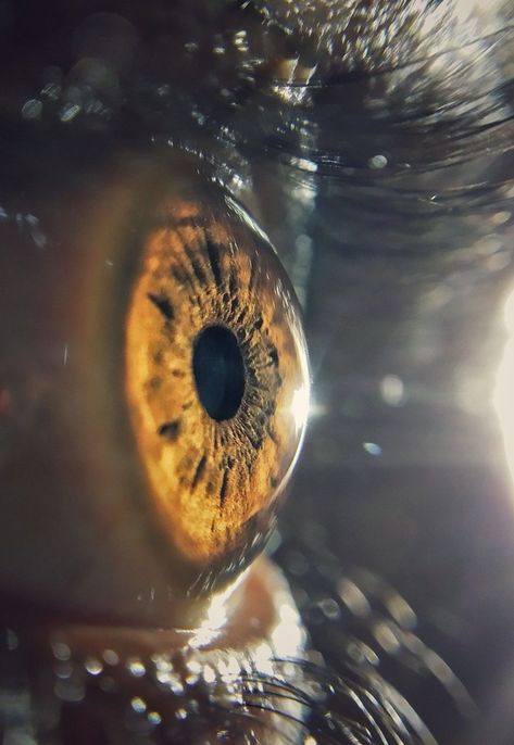 Human Eyes Photography, Micro Lens Photography, Human Eye Close Up, Photos Of Eyes Photography, Up Close And Personal Photography, Microscopic Photography Human, Eyes Close Up Photography, Micro Photography Ideas, Eye Pictures Photography