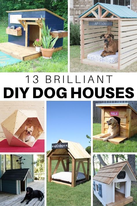 13 DIY Doghouse Plans and Ideas – The House of Wood Diy Dog Houses, Homemade Dog House, Dog House Diy Outdoor, Diy Doghouse, Double Dog House, Heated Dog House, Large Dog House Plans, Cheap Dog Houses, Outside Dog Houses