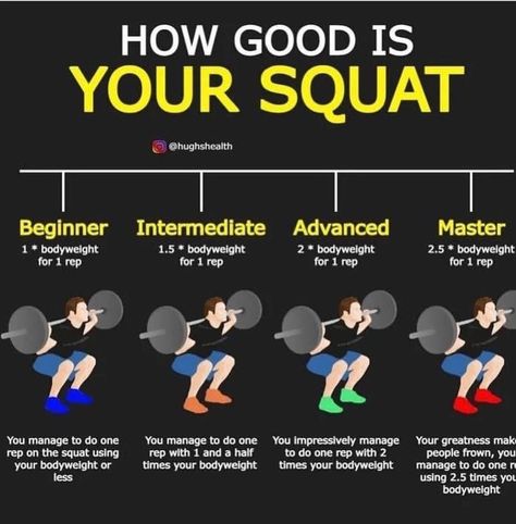 Squats Exercise, Exercises With Weights, Squat Exercises, Squats Workout, Benefits Of Squats, Lower Body Strength, Functional Movement, Leg Workouts, Bodybuilding Workout Plan