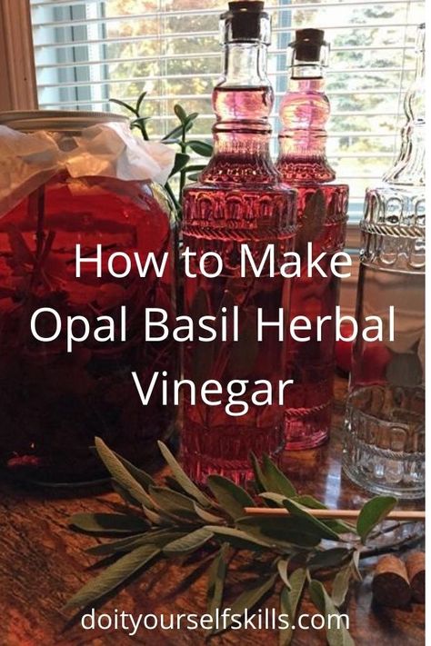 Basil Vinegar Recipe, Purple Basil Recipe, Basil Vinegar, Salad With Olive Oil, Hawaiian Party Food, Herbal Vinegar, Flavored Vinegars, Homestead Gardening, Aphrodisiac Foods