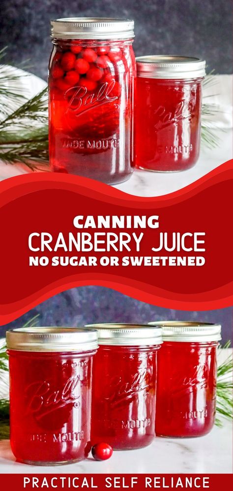 homemade canned cranberry juice in mason jars Healthy Canning Recipes Clean Eating, How To Can Cranberries, Healthy Cranberry Juice Recipes, Homemade Juice Concentrate, Make Your Own Cranberry Juice, Unsweetened Cranberry Juice Recipes, Sugar Free Cranberry Juice, Water Bath Canning Juice, Canning Cranberries Recipes