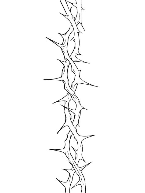 Thorn Drawing Reference, Barb Wire Spine Tattoo, Bob Wire Tattoos Around Arm, Barbwire Drawings, Thorn Tattoo Design, Thorn Drawing, Barbed Wire Tattoo Design, Thorns Tattoo Design, Thorn Vine Tattoo