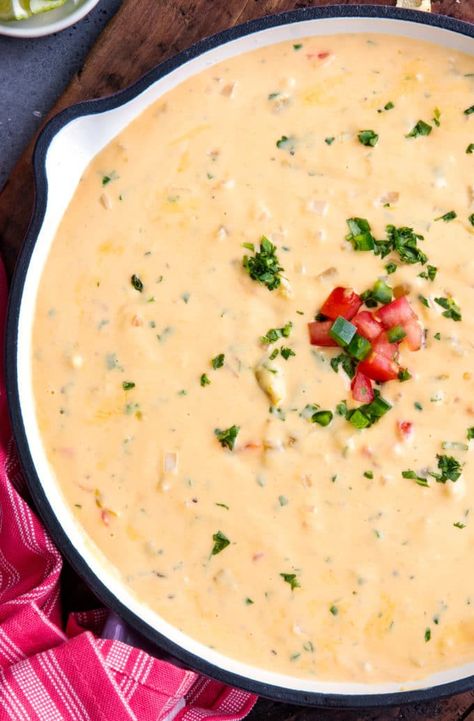 Hot Cheese Dip Recipes, Mexican Cheese Dip Recipes, Mexican Appetizer, Cheese Dip Mexican, Queso Dip Recipe, Chunky Chef, Appetizer Party, Cheese Dip Recipe, Queso Dip Recipes