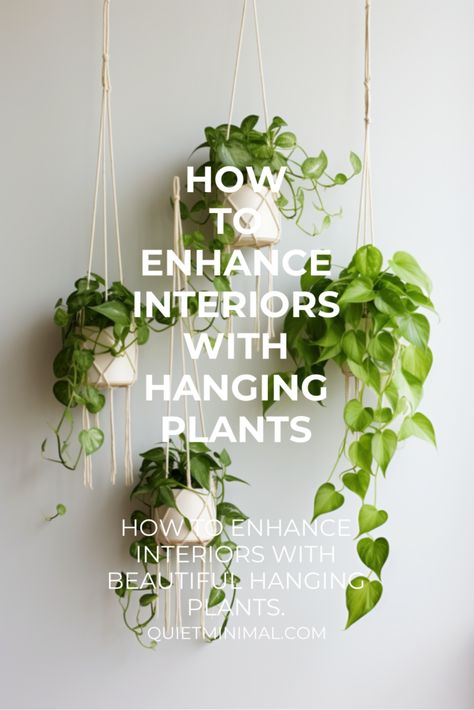 Follow our step-by-step guide to hanging plants in your home. Elevate your décor with thoughtfully placed greenery. #HangingPlants #HomeDecor #InteriorDesign #PlantStyling Ceiling Plants, Hang Plants From Ceiling, Hanging Plant Ideas, Hanging Indoor Plants, Hanging Plant Wall, Hanging Plants Indoor, Interior Design Guide, Inside Plants, Bathroom Plants