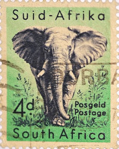 South African Elephant Stamp by DrPhotoMoto, via Flickr Old Posters, طوابع بريد, Africa Do Sul, Postage Stamp Art, Vintage Postage Stamps, Stamp Printing, Elephant Love, Kruger National Park, Stamp Collection