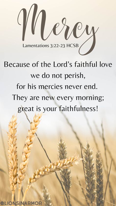 Lamentations 3:22-23 reminds us of God's Grace and Mercy. The Lord is faithful and shows us how much we can trust him each day when the sun rises again. God’s Mercy Is New Every Morning, Mercy And Grace Quotes, Gods Mercy And Grace, Merciful God Quotes, His Mercy Is New Every Morning, New Mercies Every Morning, Thankful God Quotes, Praise God Quotes Thank You Lord, Grace And Mercy Quotes