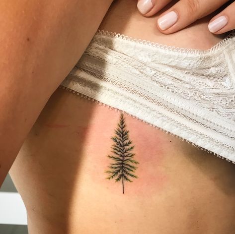 Green Pine Tree Tattoo, Small Seattle Tattoo, Strong Tree Tattoo, Small Oregon Tattoo, Washington Tree Tattoo, Colored Tree Tattoo, Colorado Tree Tattoo, Nature Memorial Tattoo, Maine Pine Tree Tattoo