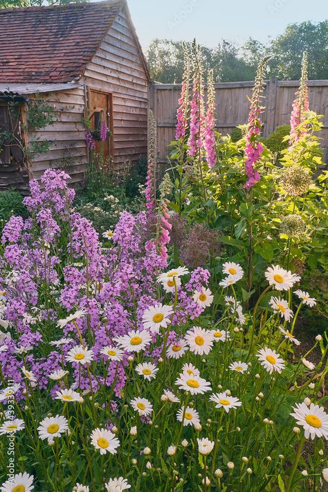 Elements of a English Cottage Garden - on lakeshore drive Terraced Cottage Front Garden, English Cottage Yard, Classic English Garden, English Cottage Flowers, Cottage Garden Hedge, Small English Cottage Garden, Cottage Core Landscaping, Wild Cottage Garden, British Cottage Garden