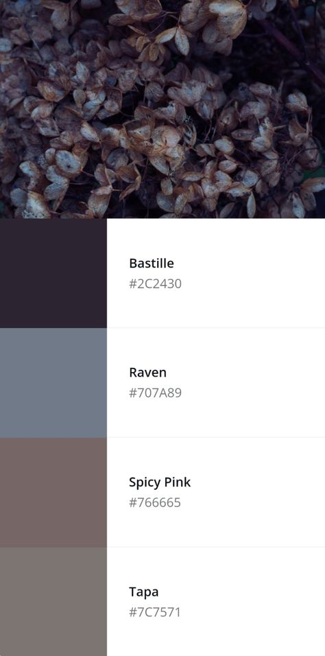 Four color palette with muted dark floral colors Muted Purple Color Palette, Muted Pink Aesthetic, Muted Purple Aesthetic, Taupe Aesthetic, Dark Earth Tones, Flower Color Palette, Forest Witch Aesthetic, Floral Color Palette, Tone Color Palette