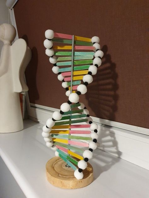 Biology Arts And Crafts, Double Helix Model Projects, Model Of Dna Project, Dna School Project, Dna Molecule Project, 3d Dna Project, Dna Project Ideas, Dna Model Project High Schools, Dna Project Models