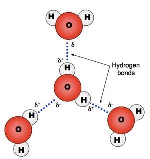 http://www.vce.bioninja.com.au/aos-1-molecules-of-life/biomolecules/inorganic-molecules.html Water Molecule Structure, Hydrogen Bonding, Water Structure, Ionic Bonding, Chemistry Education, Chemistry Classroom, Natural Philosophy, Chemistry Worksheets, Chemical Bond