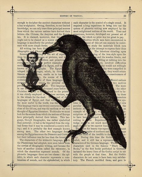 Are We Scared Yet? Edgar Allan Poe Art, Crows Artwork, Skulls Art, Skull Art Print, Halloween Skulls, Arte Peculiar, Allen Poe, Raven Art, Dictionary Art Print