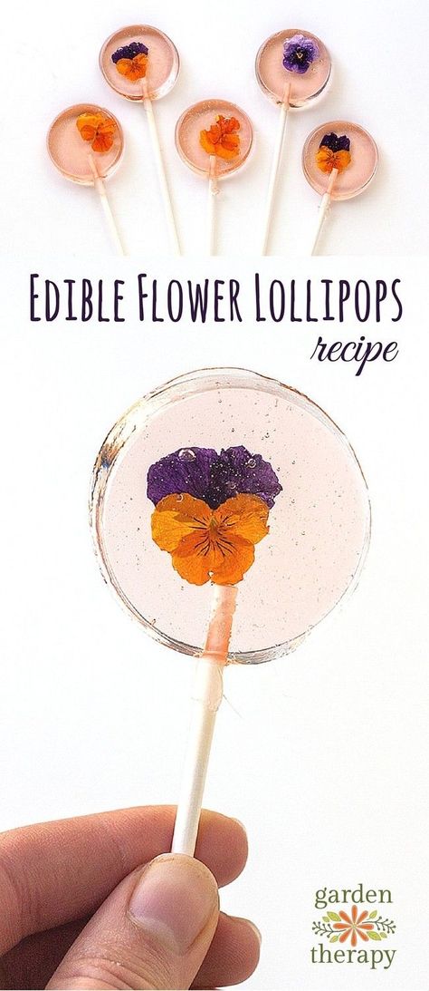 Flower Lollipops, Lollipops Recipe, Lollipop Recipe, Flower Desserts, Edible Flowers Recipes, Flower Party, Köstliche Desserts, Flower Food, Beltane