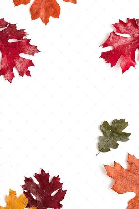 Sales Wallpaper, Ig Followers, Fall Backgrounds, Website Promotion, Gold Pumpkins, Promotion Design, Styled Stock Photography, Etsy Seo, Styled Stock Photos