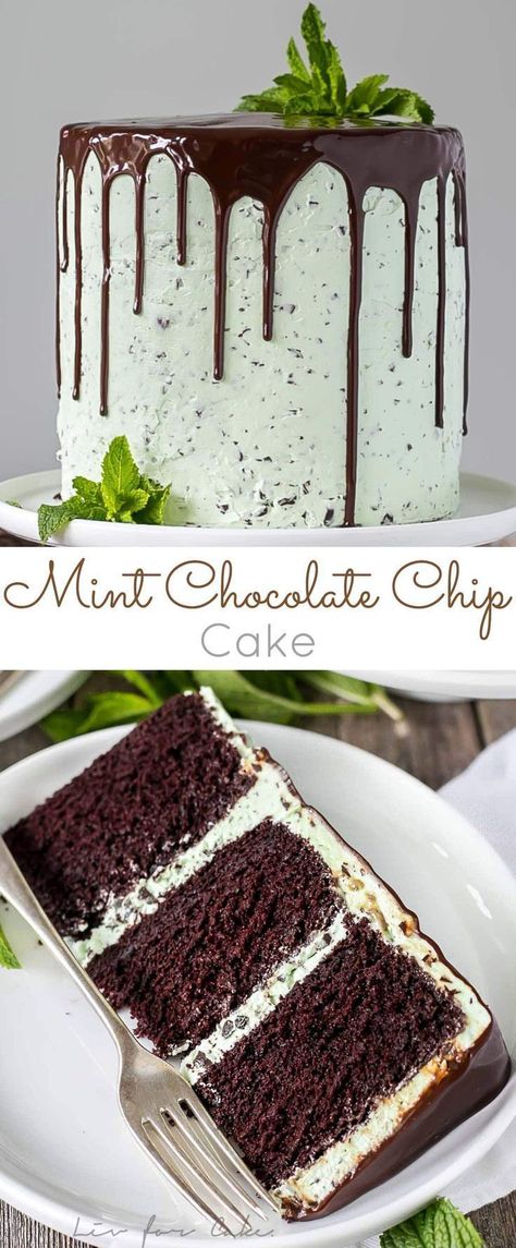 This Mint Chocolate Chip Cake is a mint lover's dream! Layers of decadent chocolate cake topped with a silky mint chip buttercream. | livforcake.com Mint Chocolate Chip Cake, Chocolate Chip Cake Recipe, Mint Chocolate Cake, Chocolate Chip Cake, Mint Chocolate Chip, Decadent Chocolate Cake, Moist Chocolate Cake, Mint Chocolate Chips, Decadent Chocolate