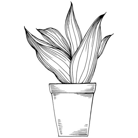 Sketch Of Plants, Flower Pots Sketch, Flower Pot Sketch Drawing, House Plant Drawing Simple, How To Sketch Plants, How To Draw Plants Easy, Pot Plants Drawing, Small Plant Drawing, Pot Sketch Drawing