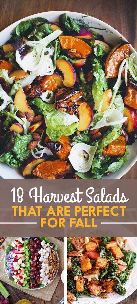 18 Fall Salads You Need In Your Life Right Now Budha Bowls, Fall Salads, Autumn Salad Recipes, Different Salads, Harvest Salad, Peach Salad, Autumn Salad, Healthy Salad Recipes, Healthy Salads