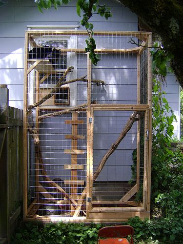 Katt Hus, Outdoor Cat Run, Catio Plans, Katt Diy, Diy Cat Enclosure, Cat House Plans, Outdoor Cat Shelter, Katt Grejer, Kat Diy