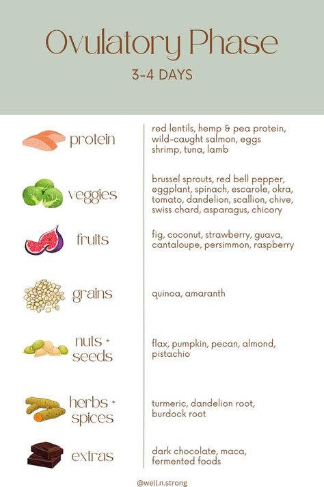 Just a few foods to focus on during your ovulatory phase! Want the whole guide? Click the link! Foods Good For Menstruation, Food By Phases, Ovulation Foods To Eat, What To Eat When Ovulating, Period Phases Food, Follicular Phase Fruits, Ovulatory Phase Recipes Vegan, Ovulatory Phase Smoothie, Ovulating Phase Foods