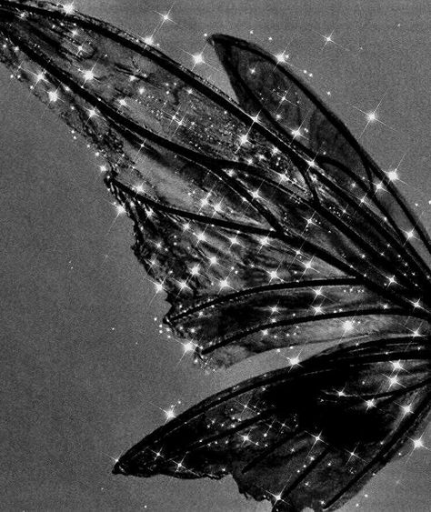 Fairy Wings, White Photo, A Butterfly, The Sky, We Heart It, Black And White, Stars, White, Black