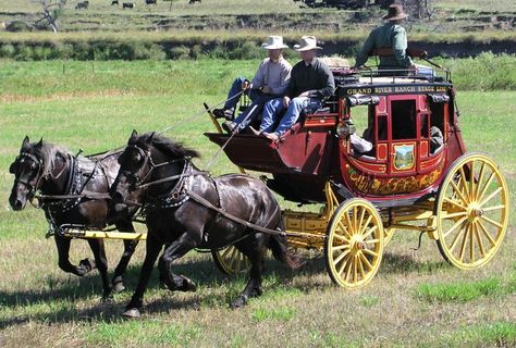 Wells Fargo Stage Wells Fargo Stagecoach, Covered Wagons, Stage Coach, Horse Drawn Wagon, Old Wagons, The Oregon Trail, Chuck Wagon, Cowboy Gear, Wilde Westen