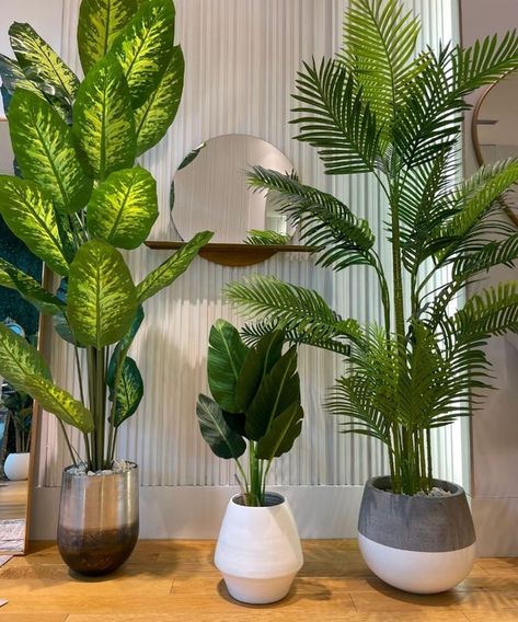 Evergreen Potted Plants, Plants Poisonous To Dogs, نباتات منزلية, Artificial Plants And Trees, Deco Studio, Artificial Potted Plants, Basket Planters, Brass Planter, Evergreen Plants