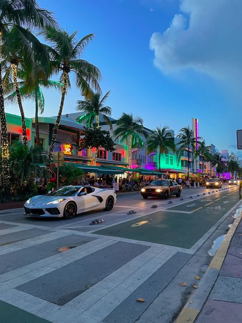 When visiting Florida, a lovely area to explore is Ocean Drive near Miami Beach. 
Tips: bring your own bike or rent one of the citybike to enjoy a good ride on that street. Miami Best Places, Miami Fl Aesthetic, Miami Asthetic Picture, Miami Travel Aesthetic, Miami Vision Board, Rich Miami Aesthetic, Maimi Aesthetic, Miami College Aesthetic, Miami Life Aesthetic