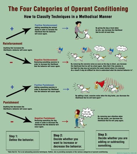 The Four Categories of Operant Conditioning | ZooSnippets Aba Strategies, Classical Conditioning, Bcba Exam, Ap Psychology, Operant Conditioning, Behavioral Psychology, Dog Body Language, Reactive Dog, Behavior Modification