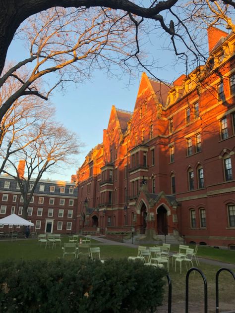 Harvard Fall Aesthetic, Harvard In The Fall, Harvard University Vision Board, Harvard Law School Campus, Harvard Med School Aesthetic, Ivy League Student Aesthetic, Harvard Mba Aesthetic, Harvard Summer School, Harvard University Campus Aesthetic