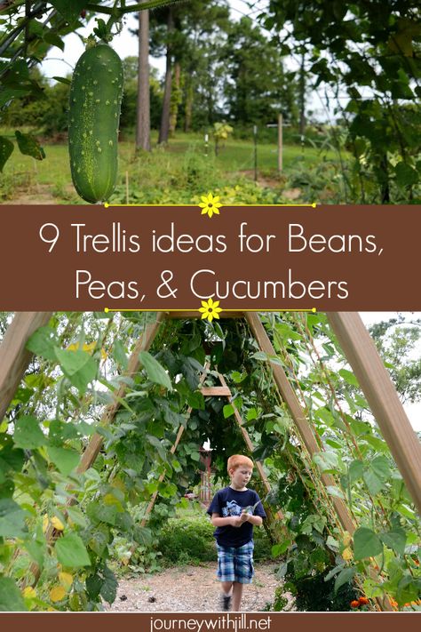 These 9 Trellis Ideas for Beans, Peas, & Cucumbers are completely doable even for a beginner! While some ideas may require two people, many you can do by yourself to grow your garden vertically!  #verticalgardening #gardentrellis #beantrellis Green Bean Trellis, Bean Trellis, Vegetable Trellis, Vertical Container Gardening, Bean Garden, Pea Trellis, Growing Beans, Cucumber Trellis, Diy Garden Trellis