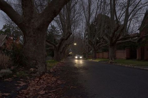 At Night, The Road, Trees, Road, Cars