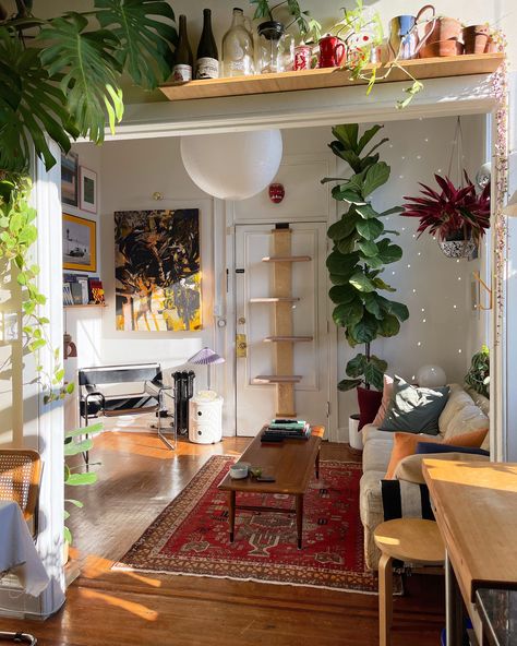 Lots Of Plants, Deco Studio, Casa Vintage, Apartment Decor Inspiration, Baltimore Maryland, Dream House Interior, Apartment Inspiration, Living Room Inspo, Room Inspiration Bedroom