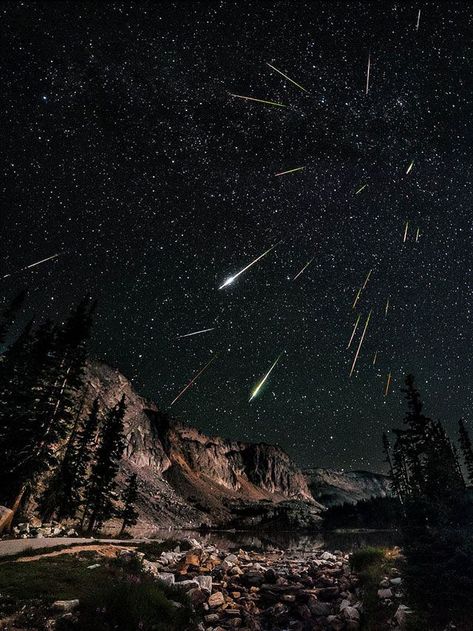 So, the Perseids meteor shower was pretty magical. Perseids Meteor, Perseid Meteor Shower, Earth Photos, Meteor Shower, Earth From Space, To Infinity And Beyond, The Night Sky, Shooting Stars, Science And Nature