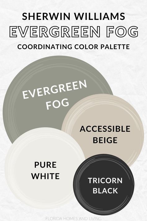 Evergreen Fog by Sherwin Williams: A Classic Moody Green Pure White And Evergreen Fog, Green Walls With Black Doors, Snowbound And Evergreen Fog, Color Palette With Evergreen Fog, Evergreen Fog Benjamin Moore, Best House Colors Interior, House Room Colors Ideas, Evergreen Fog Accessible Beige, Evergreen Fog And Pure White