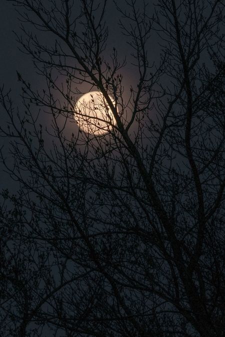 Moon Photos Aesthetic, Gibbous Moon, Moon Pics, Moon Photo, Moon Aesthetic, Night Sky Wallpaper, Moon Photos, The Moon Is Beautiful, Moon Pictures