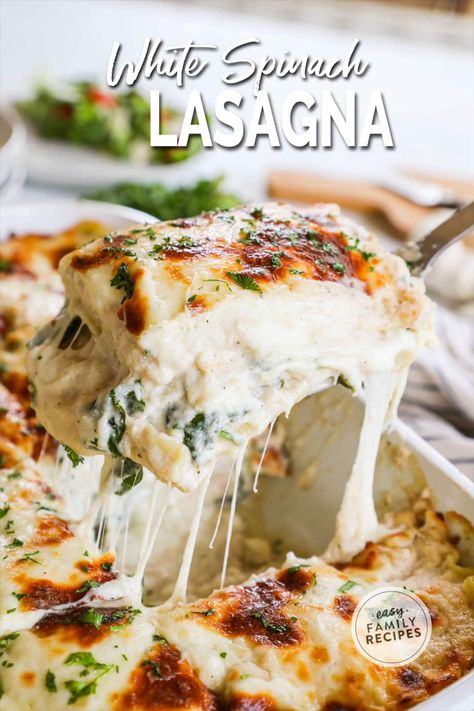 Easy White Lasagna with Spinach Recipe: Looking for an easy pasta dinner that's sure to please? This lasagna casserole is the answer! Layers of creamy sauce and spinach make for a comforting and delicious meal. The secret to this recipe is the white sauce, which is made with a blend of butter, flour, milk, and Parmesan cheese. The garlic white sauce is absolutely delicious. The spinach adds a bright pop of color and freshness to the dish, making it a feast for the eyes as well as the taste buds. Lasagna Sauce Recipe, Garlic White Sauce, White Lasagna Recipe, Spinach And Ricotta Lasagna, Lasagna With Spinach, White Sauce Lasagna, Spinach Casserole Recipes, Spinach Mushroom Lasagna, White Lasagna