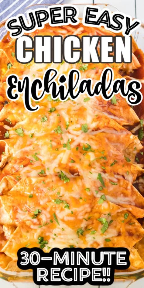 Chicken Enchiladas Easy Red Sauce, Tortilla With Cheese, Easy Red Sauce, Dinner Enchiladas, Recipe Enchiladas, Enchiladas Potosinas, Best Chicken Enchilada Recipe, Enchiladas Easy, Enchiladas Rojas