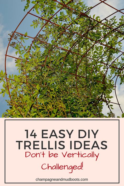 Easy DIY Trellis Ideas - Champagne and Mudboots Diy Rustic Trellis, Handmade Trellis Ideas, Beautiful Trellis Ideas, Trellis Ideas For Shade, Free Standing Trellis Ideas Diy, Vertical Grape Trellis, Wisteria Trellis Diy, Umbrella Trellis Diy, Wisteria Trellis Ideas Diy