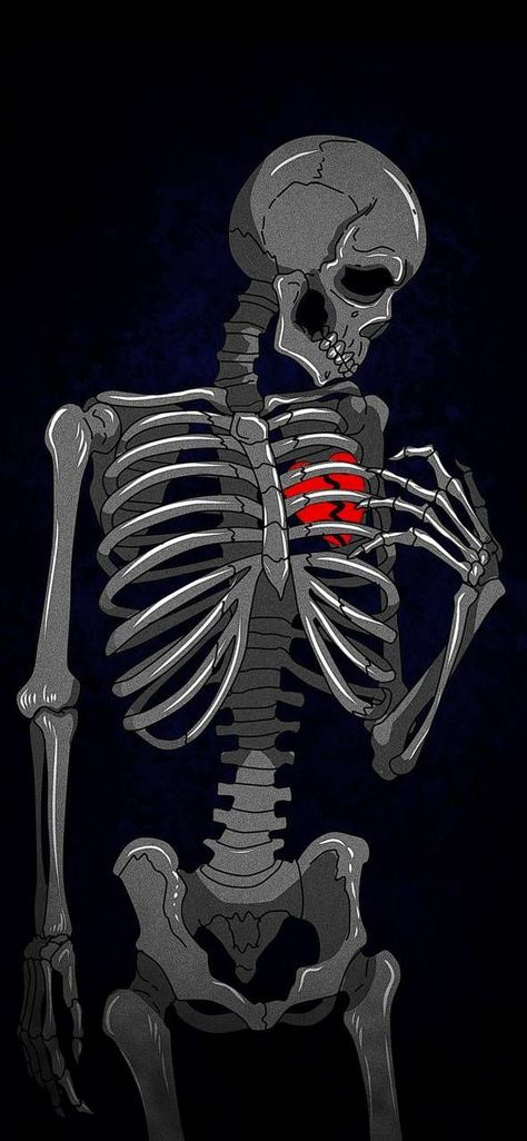 Skeleton Wallpaper, Skeleton, Wallpapers, Red