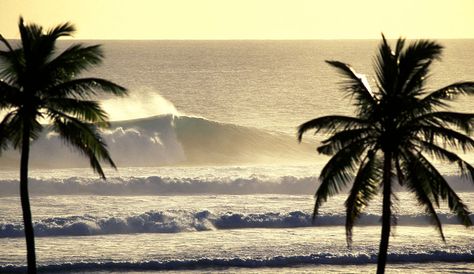 Amazing Lineups From Around the Globe | The Inertia Mac Wallpaper, Macbook Wallpaper, Summer Dream, Summer Breeze, Laptop Wallpaper, Beach Aesthetic, Beach Vibe, Island Life, Beach Life