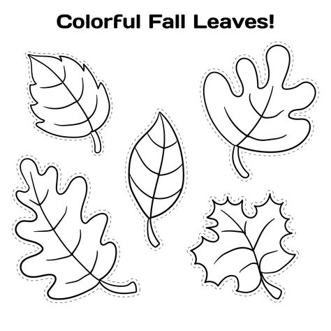 Leaf Shapes Template, Leaf Printables, Camo Stencil, Leaf Template Printable, Fall Leaf Template, Fall Leaves Coloring Pages, Printable Leaves, Leaf Coloring Page, Fall Preschool